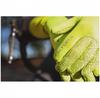 Altura Thermostretch Long Cycling Gloves (green)