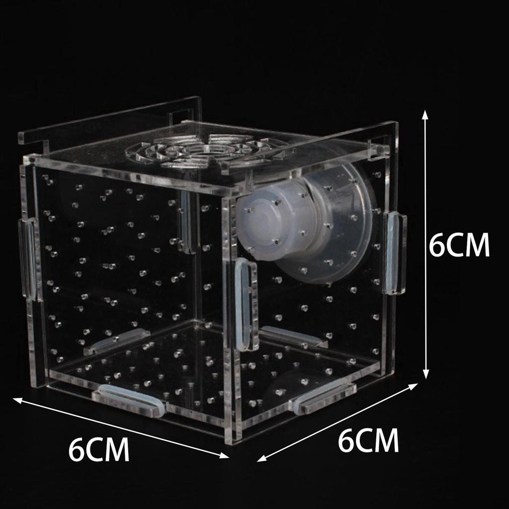 Aquarium Fish Breeder Box Accessory Transparent Isolation Breeding for Guppy