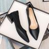 Thick Heel Low Heel Single Shoes Women's Spring and Autumn Style Temperament Pointed Work Shoes Are Not Tired Feet Shallow Mouth Middle Heel Commuting