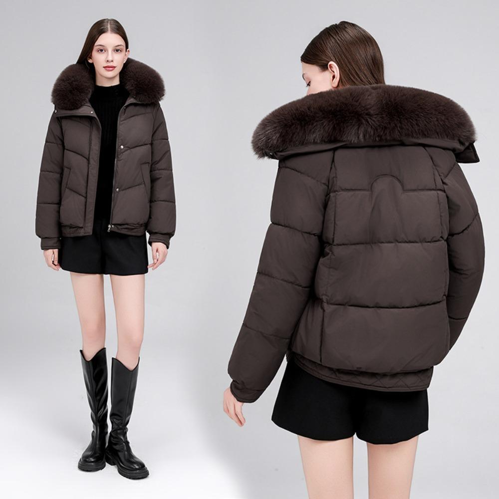 New short cotton clothes women's winter slim fashion thickened fur collar thickened warm jacket