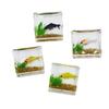 Dollhouse Miniature Glass Fish Tank Ornaments Simulation Aquarium  Model Home Decor Toy Doll House Accessories