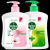 Dettol Antibacterial Hand Wash Twin Pack (Moisturizing & Classic Pine)