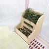 Pet Wooden Grass Frame Rabbit Food Basin 2-In-1 Grass Frame Rabbit Guinea Pig And Dragon Cat With Built-In Fixed Grass Frame