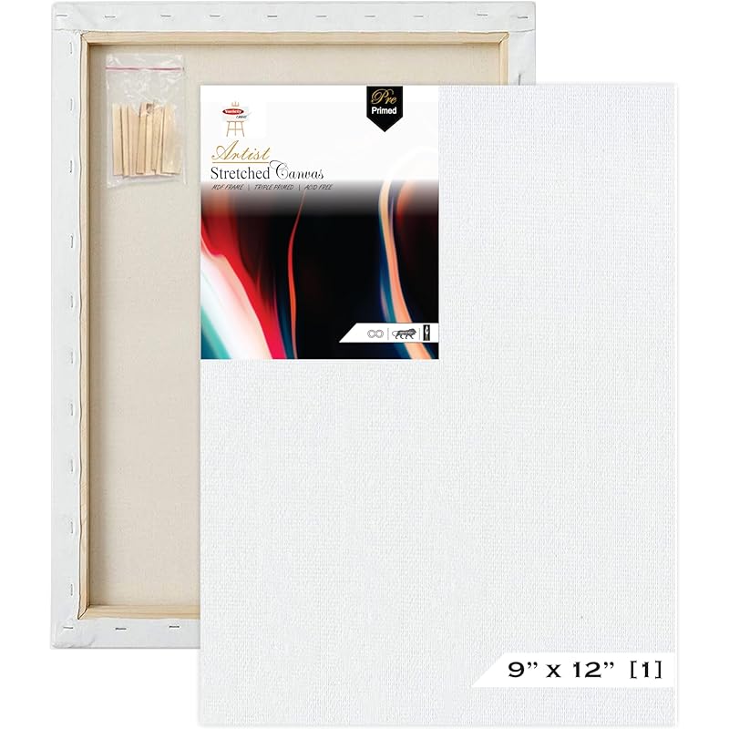 Variety Canvas 9 X 12 Inch 1 Piece Pre Stretched Canvas Board For Painting With Wooden Frame