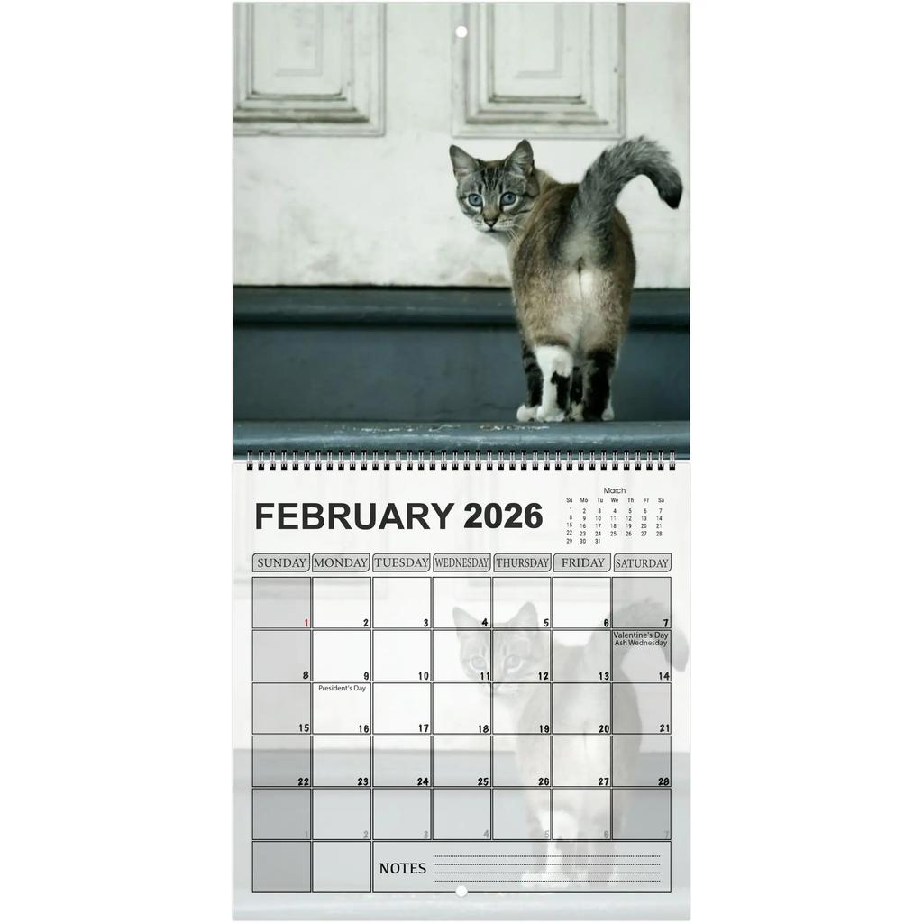 Humorous 2026 Cat Butt Calendar 12 Monthly Funny Cat Tail Wall Calendar Family Planner Scheduling Tool For Living Room Bedroom