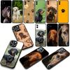 Dachshund Dog Phone Case for Motorola Moto G54 G05 G24 G67 G55 G75 G9 G85 G15 G57 G86 Power Edge 50 30 Ultra Fusion Neo Pro