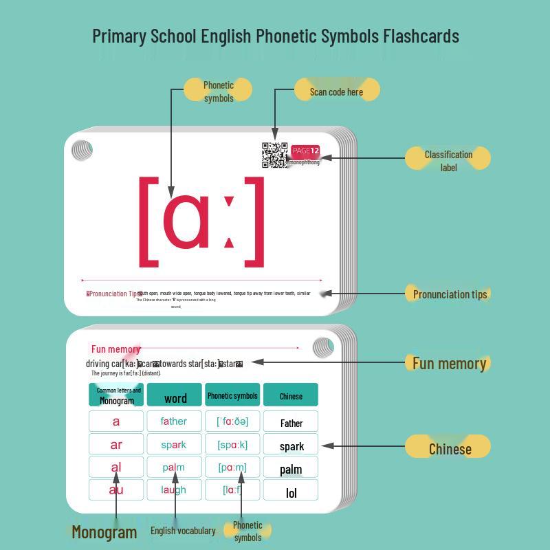 48 Englische IPA Aussprache-Karteikarten für Anfänger, Grundschule & Unterstufe Lehrmittel