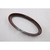 Carbon Fiber Trunk Tailgate  Decoration Lid Cover Trim For  Ford Ranger