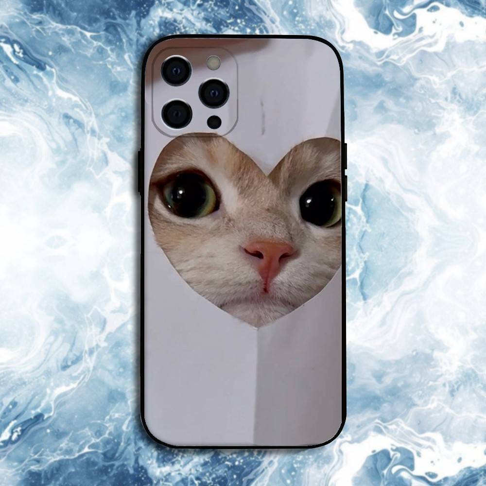 Pet Cat Funny memes Phone Case For iPhone17,16,15,14,13,12,11 Plus,Pro Max, Soft Silicone Black Cover