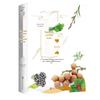 Wild Vegetables and Fruits Illustrated Guide