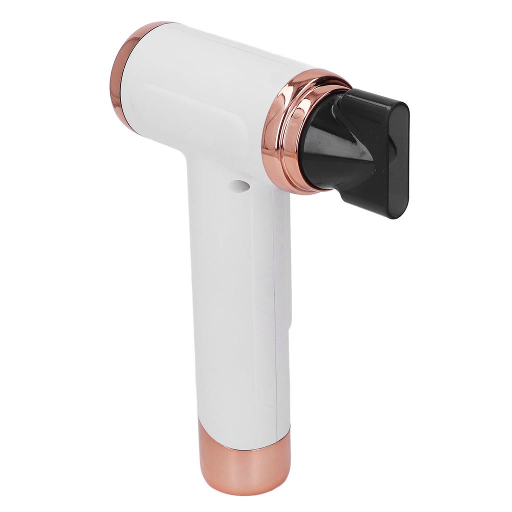 Hair Blow Dryer Wet and Dry Use 200W Powerful Hair Dryer Portable Multifunctional Pet Blow Dryer for Travel