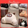 Cute Cartoon Black Gray Orange Cat Plush Pillow For Office And Dormitory