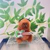 Capybara 11cm Fashionable Plush Keychain With Adorable Strawberry Hat Great Personalization For