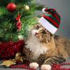 Chapéu de Cão Chapéu de Natal Listrado para Animais de Estimação Multicolorido Gato Cão Fantasia Chapéu para Cabeça Chapéus para Cães de Estimação para Decoração de Festa de Natal