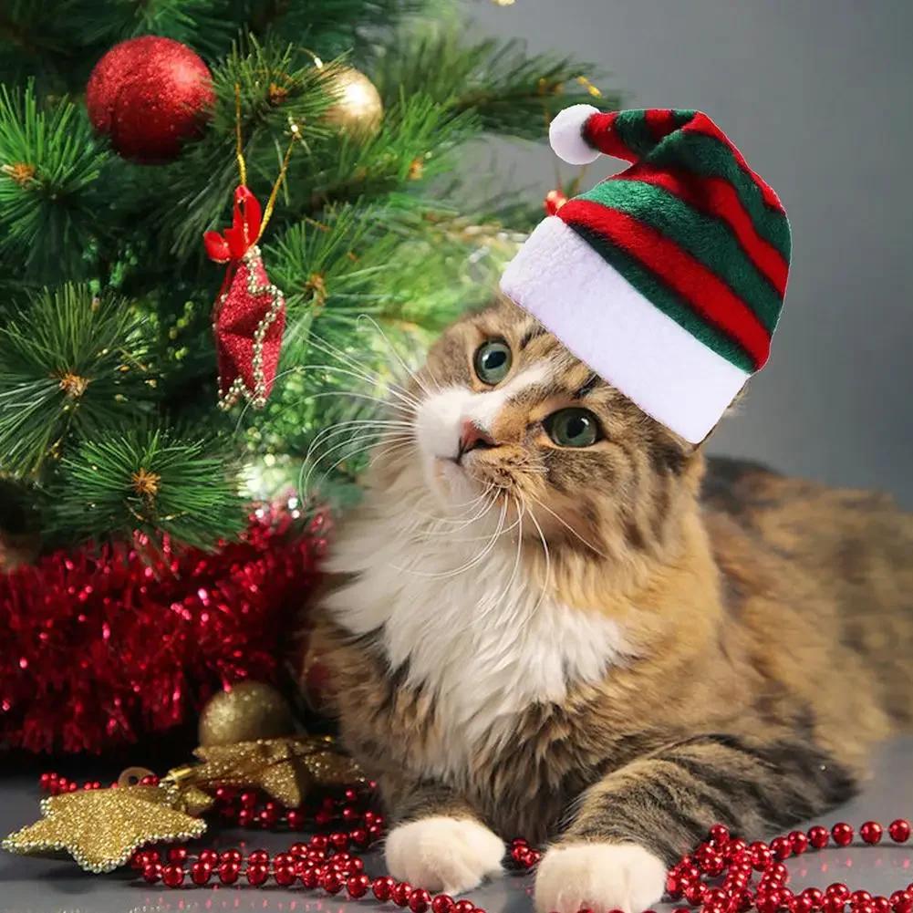 Chapéu de Cão Chapéu de Natal Listrado para Animais de Estimação Multicolorido Gato Cão Fantasia Chapéu para Cabeça Chapéus para Cães de Estimação para Decoração de Festa de Natal
