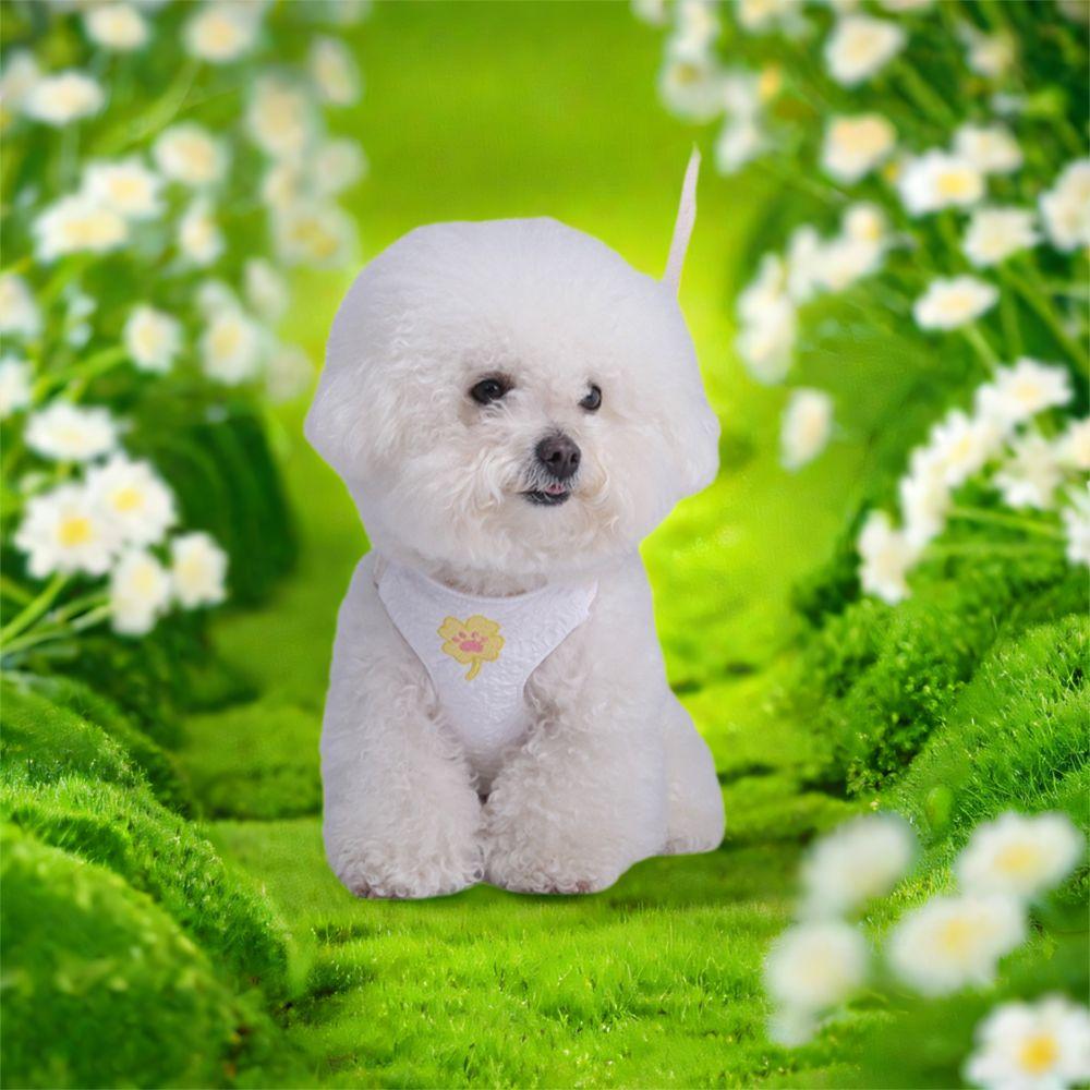 Comfortable Cat Dog Harness Breathable Dog Undershirt Chest Strap  Outdoor Walking