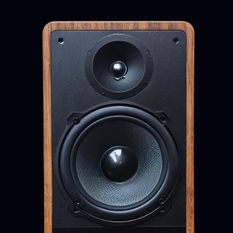 30W 3Inch High Fidelities Tweeter Speaker Double Magnets Design Loudspeaker for Karaoke and Home Theater