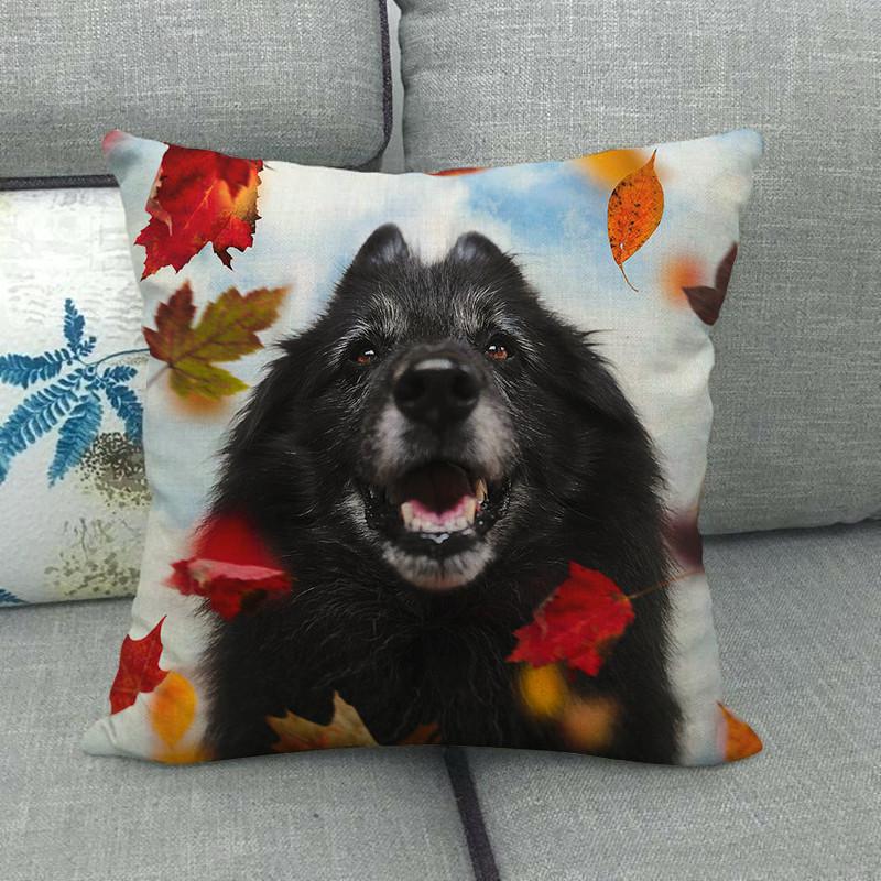 Autumn Animals: Dogs, Squirrels, Wolves, Raccoons Digital Printing Short Plush Pillow Covers For Car Sofa Office Cushion Cover