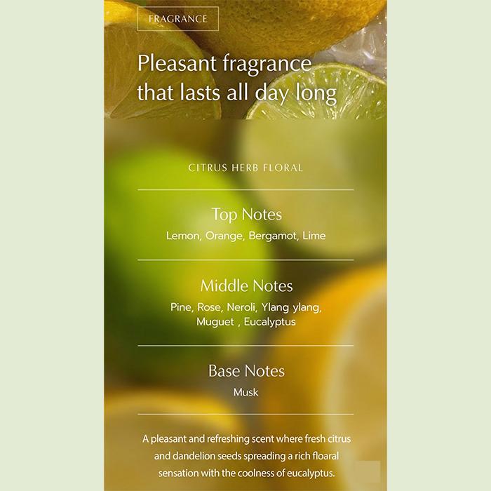 DR.SEED Teatree & Lime Vegan Oily Care Cool Anti-Hair Loss Shampoo 1000ml ,Water Scaler 500ml, Treatment Scalp Pack 250ml (13 Options)