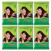 Neeta 100% Natural Mehendi Powder Premium Quality Pure Henna Powder 150g Brown (Pack of 6)
