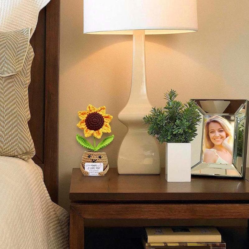 Mother's Day Gifts For Women Emotional Support Crochet Present Cute Desk Decor