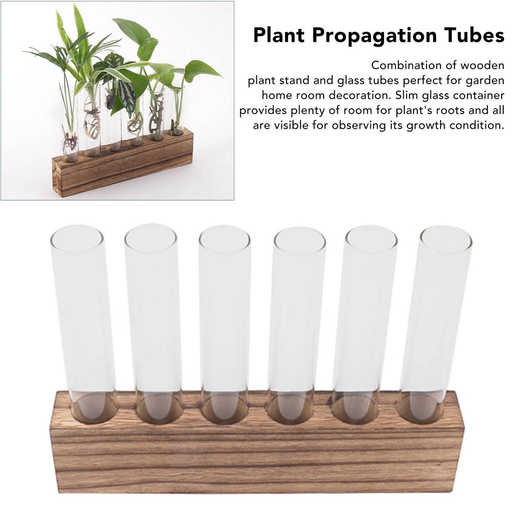 Glass Plant Propagation Station Plant Propagation Tubes Desktop Plant Terrarium With Wooden Stand Mini Test Tube Home Decor 6 Tubes