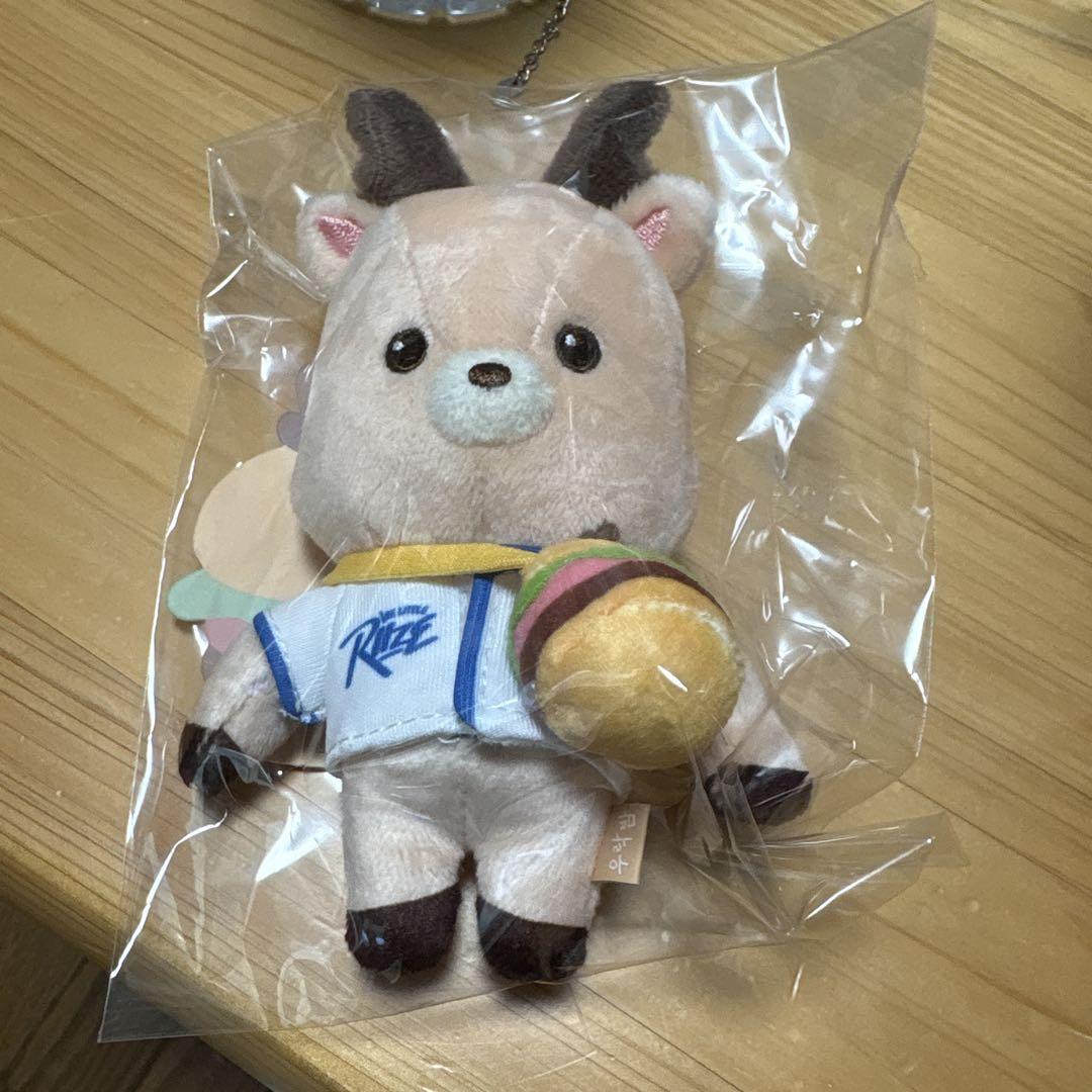 

[USED] WE LITTLE RIIZE RIIZE PARK Songchan Keychain
