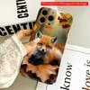 2DFlat Adorable Fox Cub Amid Autumn Leaves and Berries All Inclusive Film Hard iPhone Case, Compatible with iPhone 18 Pro Max 17 16 15 14 13 12 11