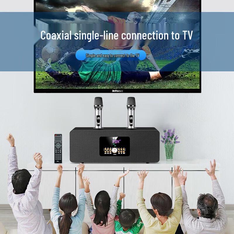 Soaiy SA-620 Home KTV Audio System with Dual Microphones