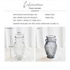 Binaural Vase Safe Glass Home Decoration For Photography Decoration Flower Vase Clear Vertical Strip Vase Glass Vase Simple