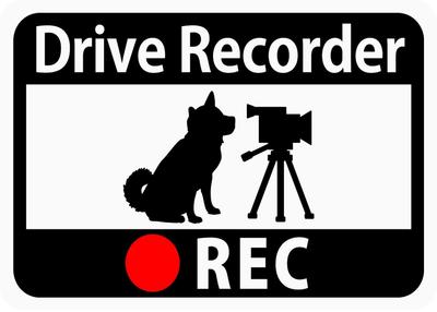 Klistermärke med dashcam "Shiba Wanko och videokamera" (Magnet)