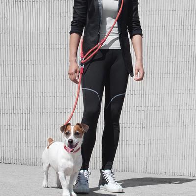 Guinzagli in nylon riflettente Guinzagli per funi di trazione a catena per cani da compagnia per correre a mani libere Catena di corda per cani di piccola taglia