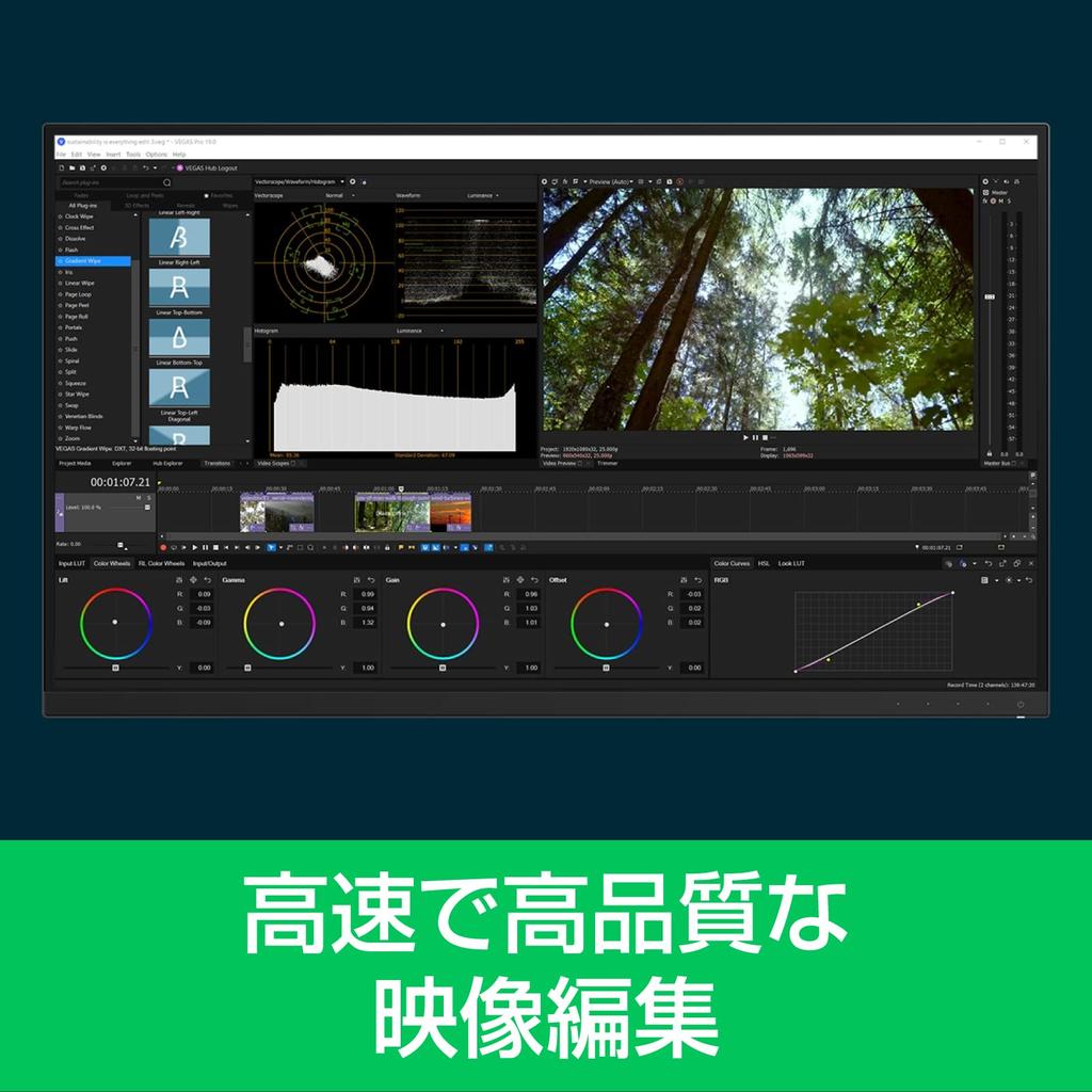 VEGAS VEGAS Software de producție video Post 19 compatibil cu Windows (versiune veche)
