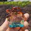 Crystal Glass God of Wealth Ornament: Home & Wedding Decoration Gift