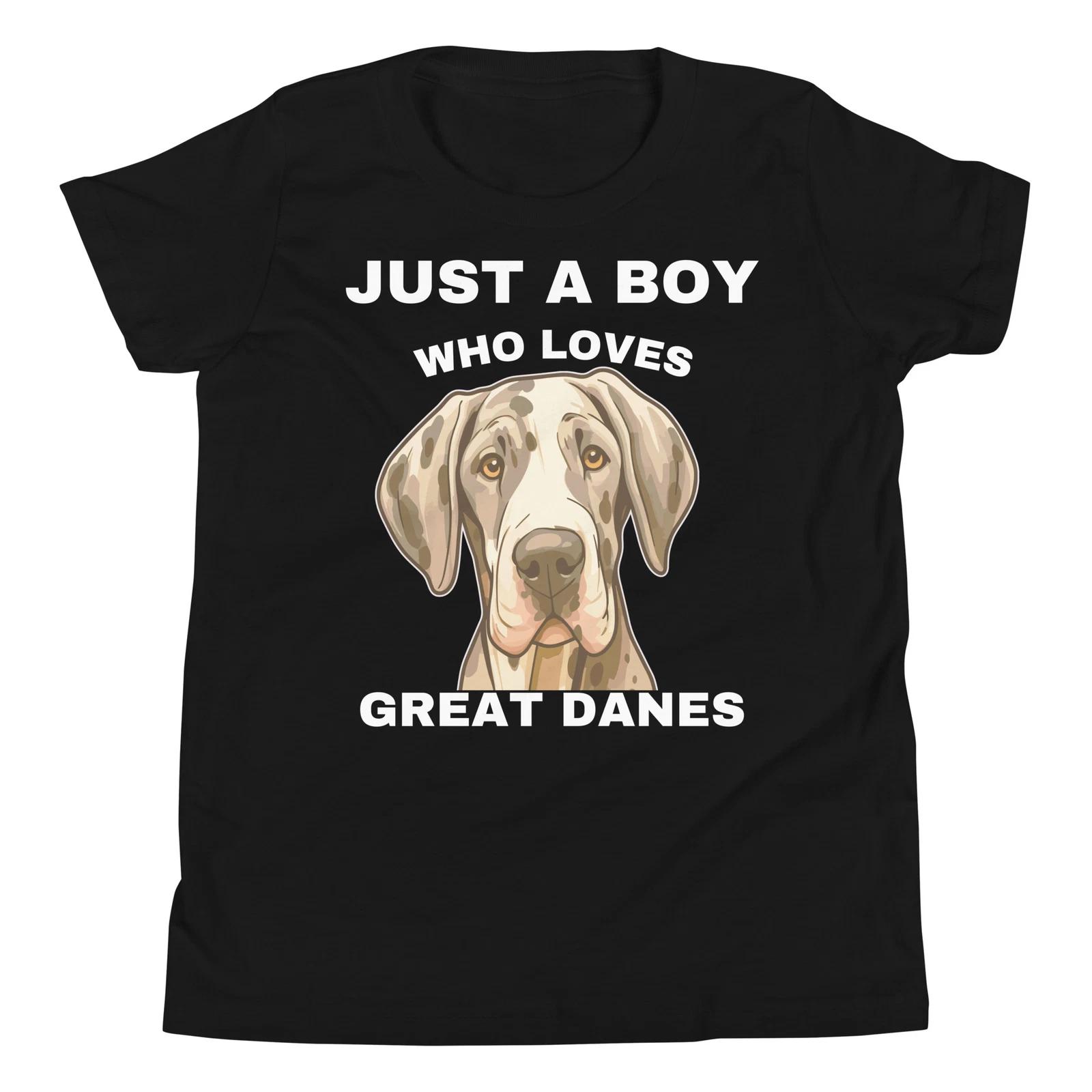 

Just A Boy Who Loves Great Danes Dog Lover Dog Owner Youth Short Sleeve T-Shirt 110