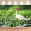 Acessórios para estúdios fotográficos – Pepel de parede para estúdio fotográfico