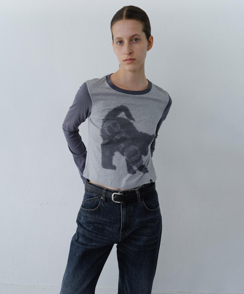 EN OR Enor Cat Crop T-Shirt - Gray