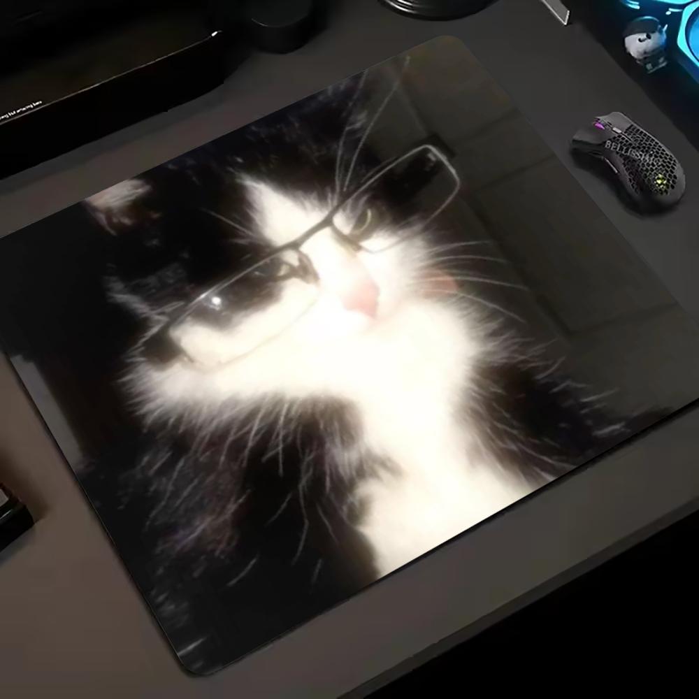 Funny Glasses Pet Portrait Small Mouse Pad 45X50 Laptop Mousepad Keyboard Mat Desk Protector Meme Animal E-sports Gaming Pads