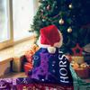 1pc Horse Blanket, Just A Girl Who Loves Horses Design, Christmas Birthday Decoration Blanket