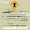 Tokyo Bell BEAR BELL Forest Bell Pico Bear Protection Bell