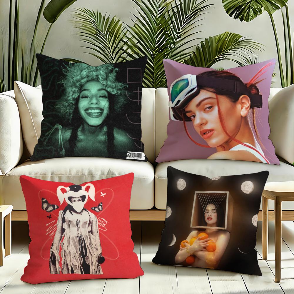 RRosalia singer Cushion Cover Reversible Plush Pillow Cover Soft Fluffy Home Decor for Sofa Bedroom