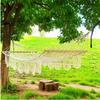 OLOEY Hand-Woven Hammock
