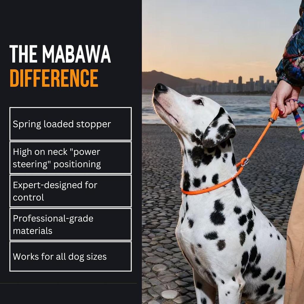 Dog Anti-Slip Leash 5FT with Metal Stopper - Durable No-Pull Training Lead for Small, Medium & Large Dogs - Comfortable Handle Nylon Rope,