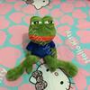 45cm Animal Sad Frog Plush Toy Soft Stuffed Pillow Magic Expression Pepe The Sad Frog Plush Doll Birthday GIfts For Girls Boys