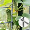 30Pcs Iron Plant Trellis Connecting Buckles Heavy-Duty Plant Connector Clip  Vegetable Garden
