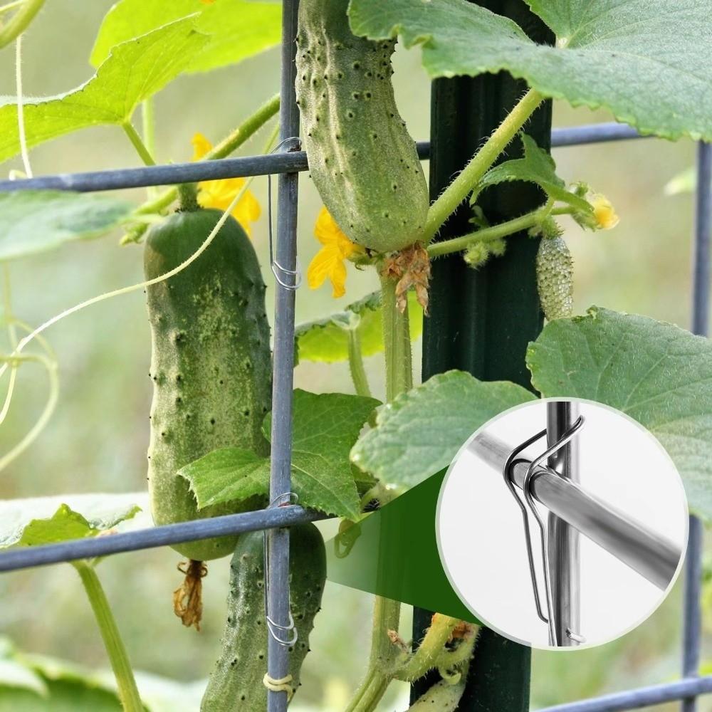 30Pcs Iron Plant Trellis Connecting Buckles Heavy-Duty Plant Connector Clip  Vegetable Garden