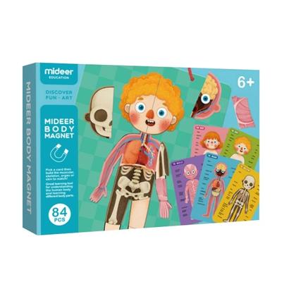 Mendeer Science Inshare pusselset, 1 set, Korea bästa småbarnspussel