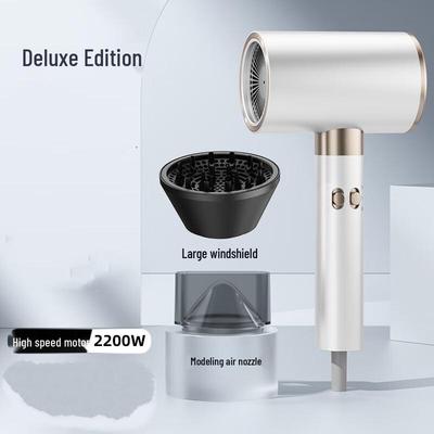 Shengbai Professional Hair Dryer