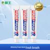 Lion Whitening Toothpaste
