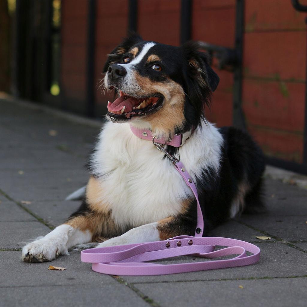 Hexa City Dog Leash, Width , S, /Lilac